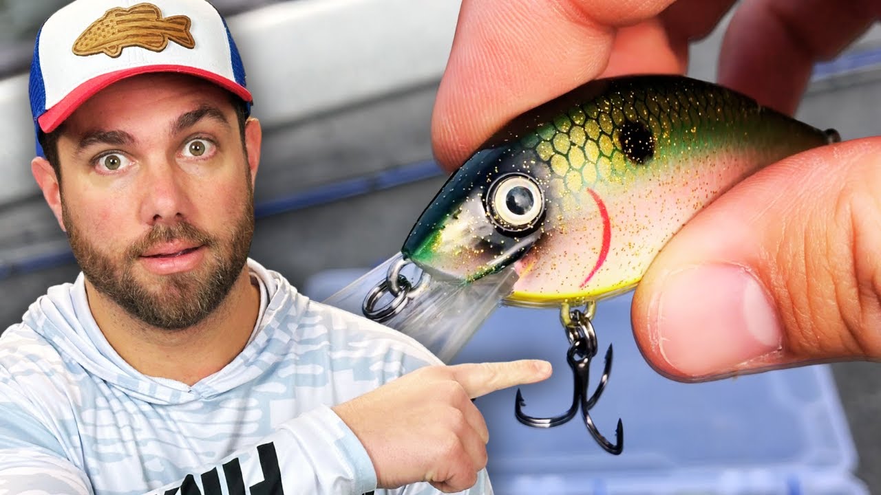 5 Crankbaits I Don't Leave HOME Without In The Fall