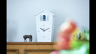 KooKoo BirdHouse (Product Video off all Versions and Songbirds)
