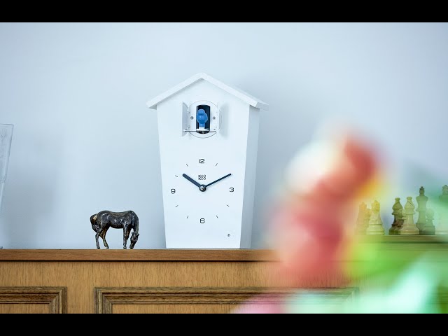 KooKoo BirdHouse (Product Video off all Versions and Songbirds
