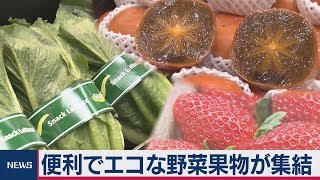 珍しい野菜・果物が大集合！「野菜・果物ワールド2019」が始まる