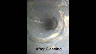 Quick Trenchless Pipe Lining Transformation!