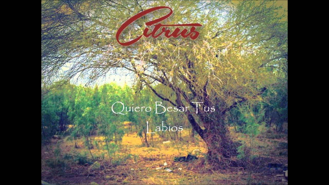 Citrus-Amor del Cielo Cayó (Letra) - YouTube