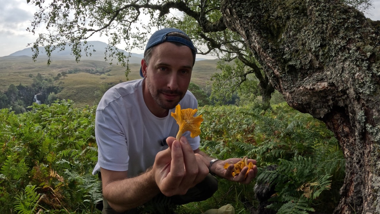 Это место в Шотландии, известное своими дикорастущими растениями, скрыто от посторонних глаз не п...