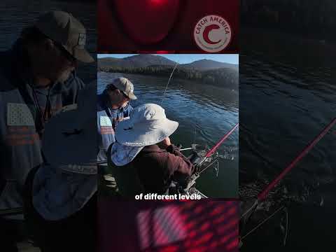 Lake Almanor Fishing Report with Bryan Roccucci | September Trout Update