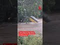 Catastrophic Flash Flood Hit Texas Amid Intense Rain