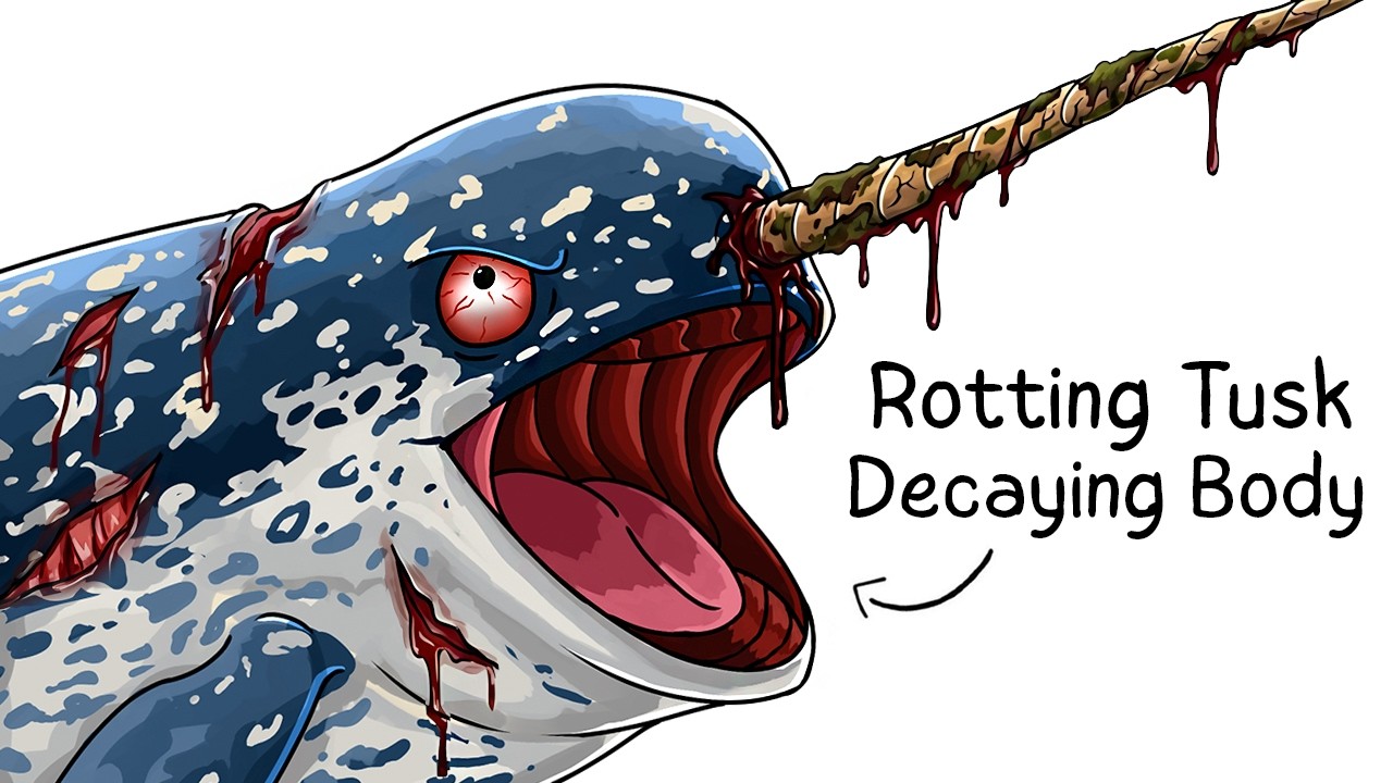 Why it Sucks To Be Born As a Narwhal