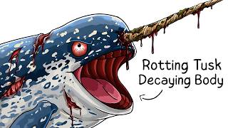 Why it Sucks To Be Born As a Narwhal