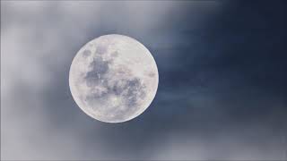 Night Moon - Whatsapp Status