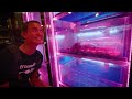 Beginning of video