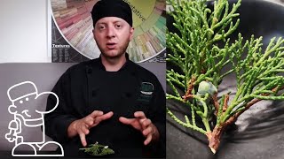 Juniper: Specific Ingredient Aroma