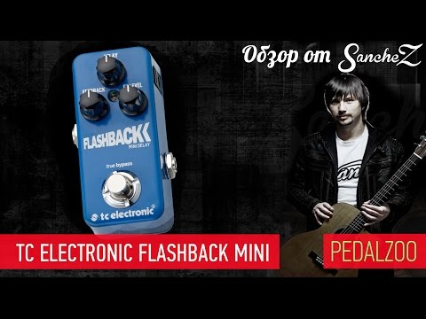TC Electronic Flashback Mini - Обзор от Sanchez TC Electronic Flashback Mini - Обзор от Sanchez