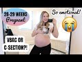 28-29 WEEK PREGNANCY UPDATE | VBAC or C-Section?!