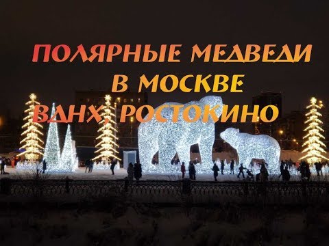 Новый год 2019. Полярные медведи в Парке "Акведук" в Ростокино, ВДНХ