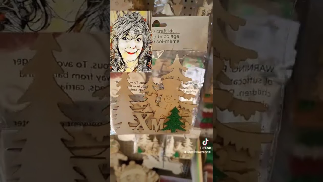 I LOVE THESE CHRISTMAS CRAFT KITS 