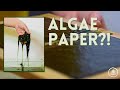 Turning ALGAE into paper?! | Will it paper #4