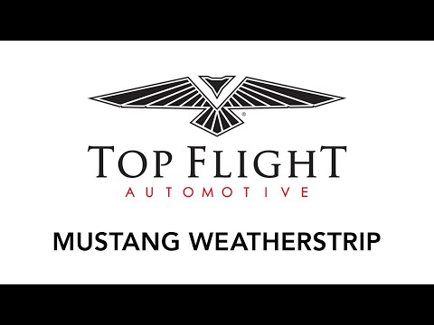 1964 1965 1966 1967 1968 Ford Mustang Weatherstrip Fasteners Door seal pin 1964 1965 1966 1967 1968 Ford Mustang Weatherstrip Fasteners Door seal pin