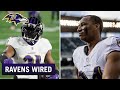 Ravens Wired: Save the Day