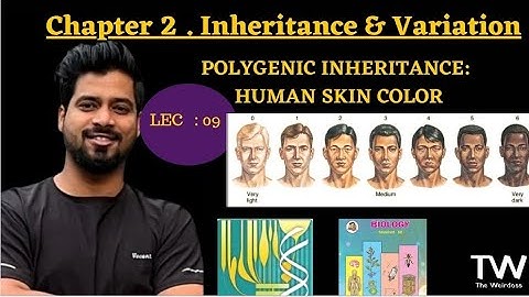 INHERITANCE & VARIATION: POLYGENIC INHERITANCE ( HUMAN SKIN COLOR) MH BOARD, NEET