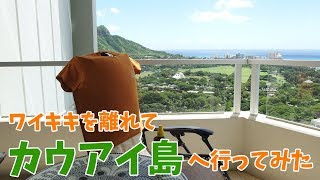 ハワイ旅行 [ カウアイ島 ]　ワイメア渓谷 ～ ワイルア リバークルーズ ～ シダの洞窟　ハワイ諸島 最古の島　ワイキキに飽きたら行ってみて♪