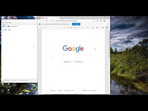 WebBrowser c#