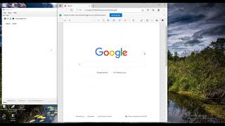 WebBrowser c#