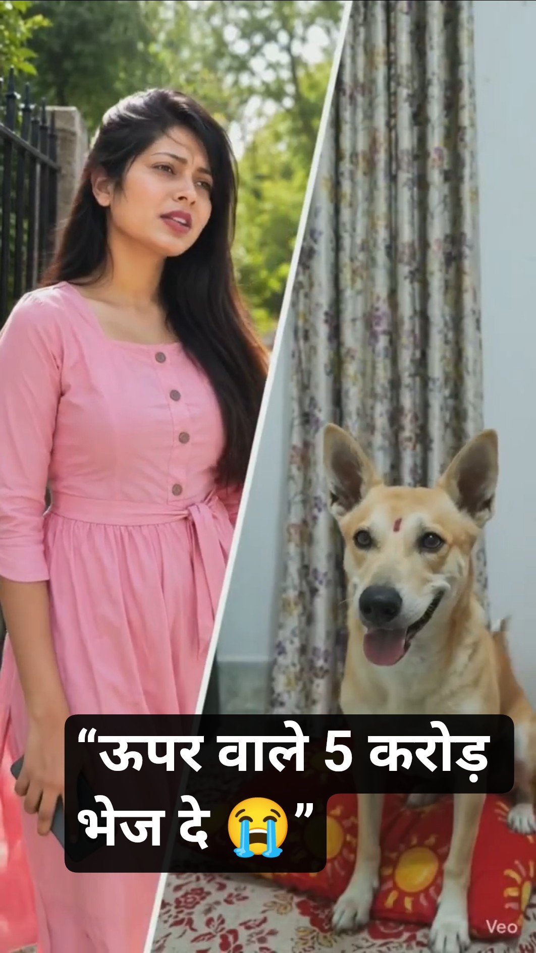 😁फनी वीडियो📽 - ShareChat