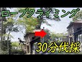 スローラインから伐採まで30分ノーカット！
