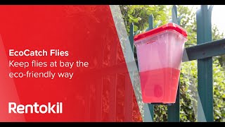 EcoCatch Flies: Leading the charge in eco-friendly outdoor fly control | Rentokil