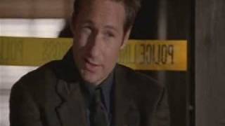 X Files-Just A Flirt