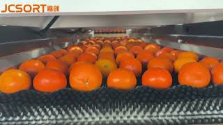JCSORT Citrus Weight Grading Machine | Automatic Fruit Weight Sorter | Orange & Lemon Grading Line
