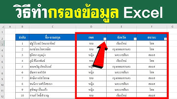 วิธีกรองข้อมูลใน Excel | BenzTech