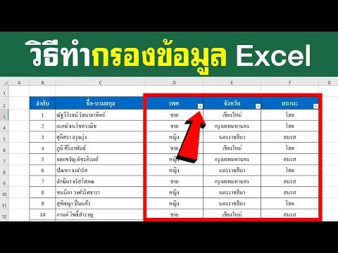 วิธีกรองข้อมูลใน Excel | BenzTech