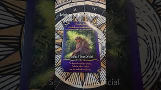 Mensaje de las hadas #Solrac1tarotoficial #másleónquehumano #Videncia #short #hadas #elementales