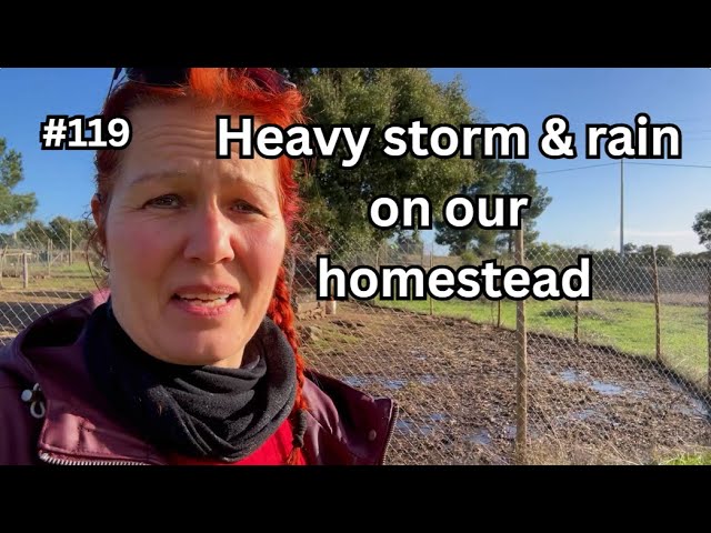 Storm and rain in Portgal  #119