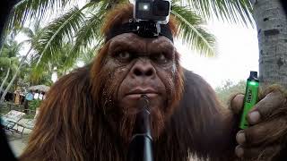 Bigfoot Vlog Ep 2 of 100 | BigFoot went to Epstein Island
