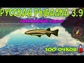 Русская рыбалка 3.9.  Галаксия чилийская.