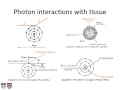 Lecture 2 - Introduction to Radiation Biology and Physics