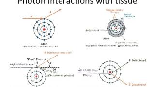 Lecture 2 - Introduction to Radiation Biology and Physics