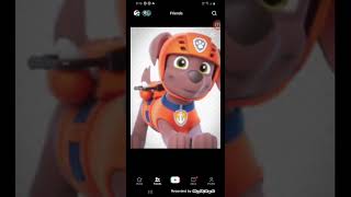 zuma paw patrol
