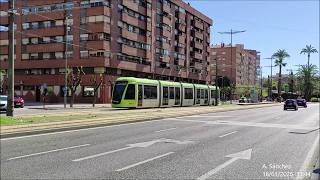 Tranvía de Murcia por la Avenida Juan Carlos I.
