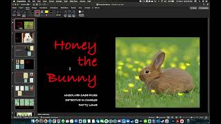 UNSOLVED CASE FILES HONEY THE BUNNY PART 1