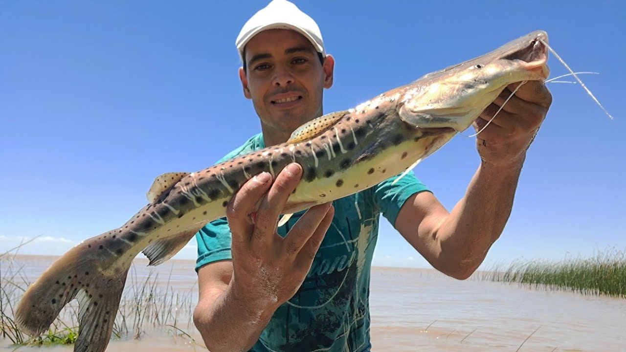 PESCA y AVENTURA, PESCA de COSTA !!! 