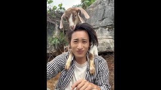 The rhythm of going to heaven #Muyang Gongzi #Rural life #Baby lambs #My rural life