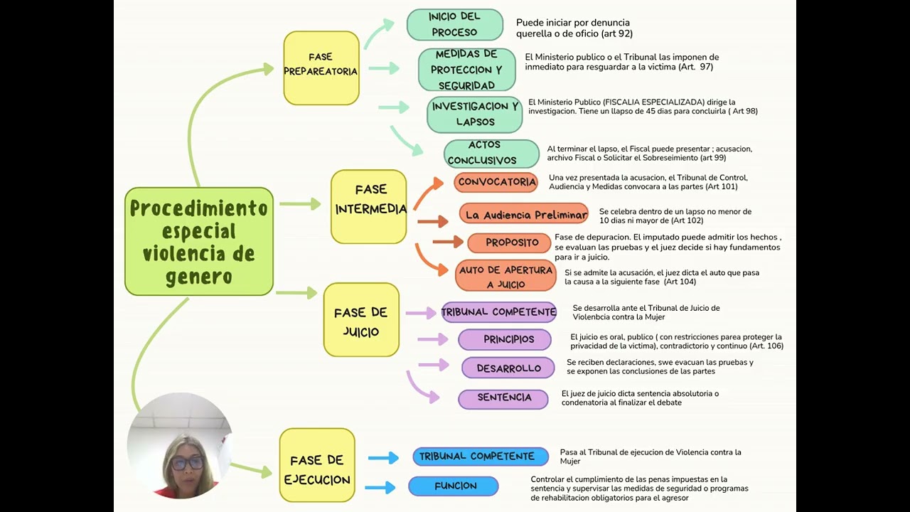 Esquema Gráfico VIDEO VIOLENCIA DE GENERO