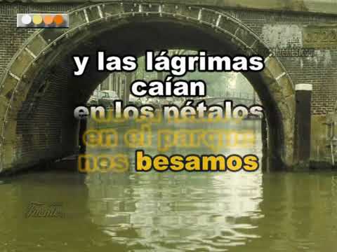 Los Adolescentes Persona Ideal Karaoke