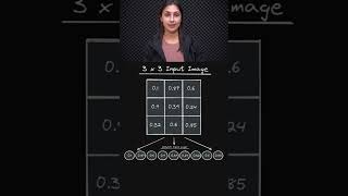 Pass Image Files to Neural Networks ❓🖼️ - Understanding Inputs 🧠 - Topic 219 #ai #ml