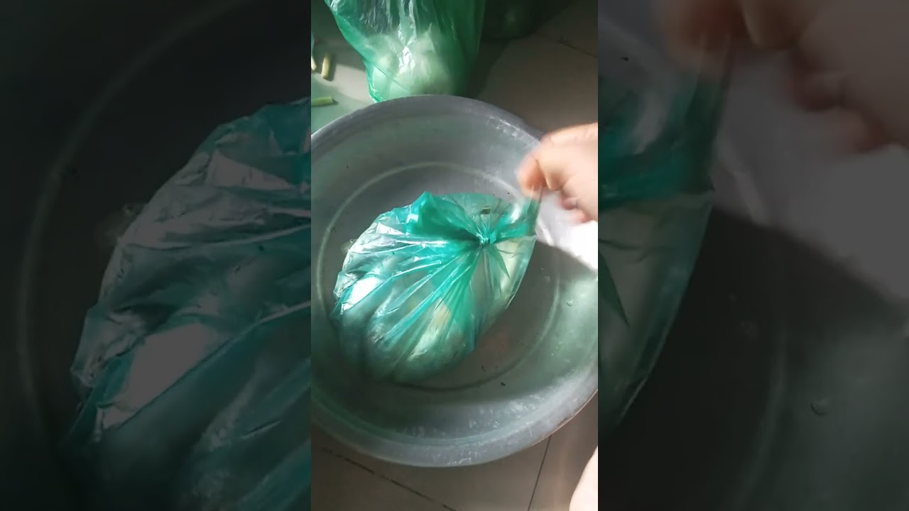 আসসালামু আলাইকুম কেমন আছেন সবাই #shortsvideo#food#recipe#foryouvedio