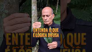 Entenda o que é lógica difusa #autoconhecimento #mestreinterior #logicadifusa #reflexão #mestre