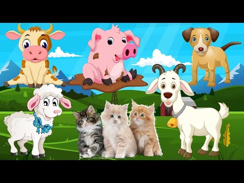 Colorful sounds of domestic farm animals sheep, horse, cow, llama, chicken, pig @animal30min