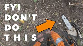 Raw: Pruning an Ivy Covered tree